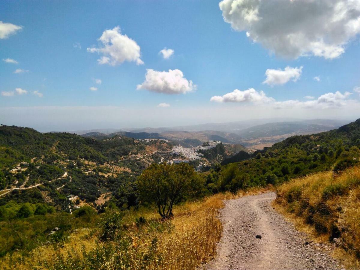 Madre Mia Apartment Casares Dış mekan fotoğraf